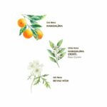 Bodrum Mandarin Cologne 400 ML Glass Bottle - Image 2