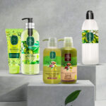Green Olive Bundle