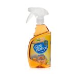 Melon Air Freshener & Disinfectant – 500 ml